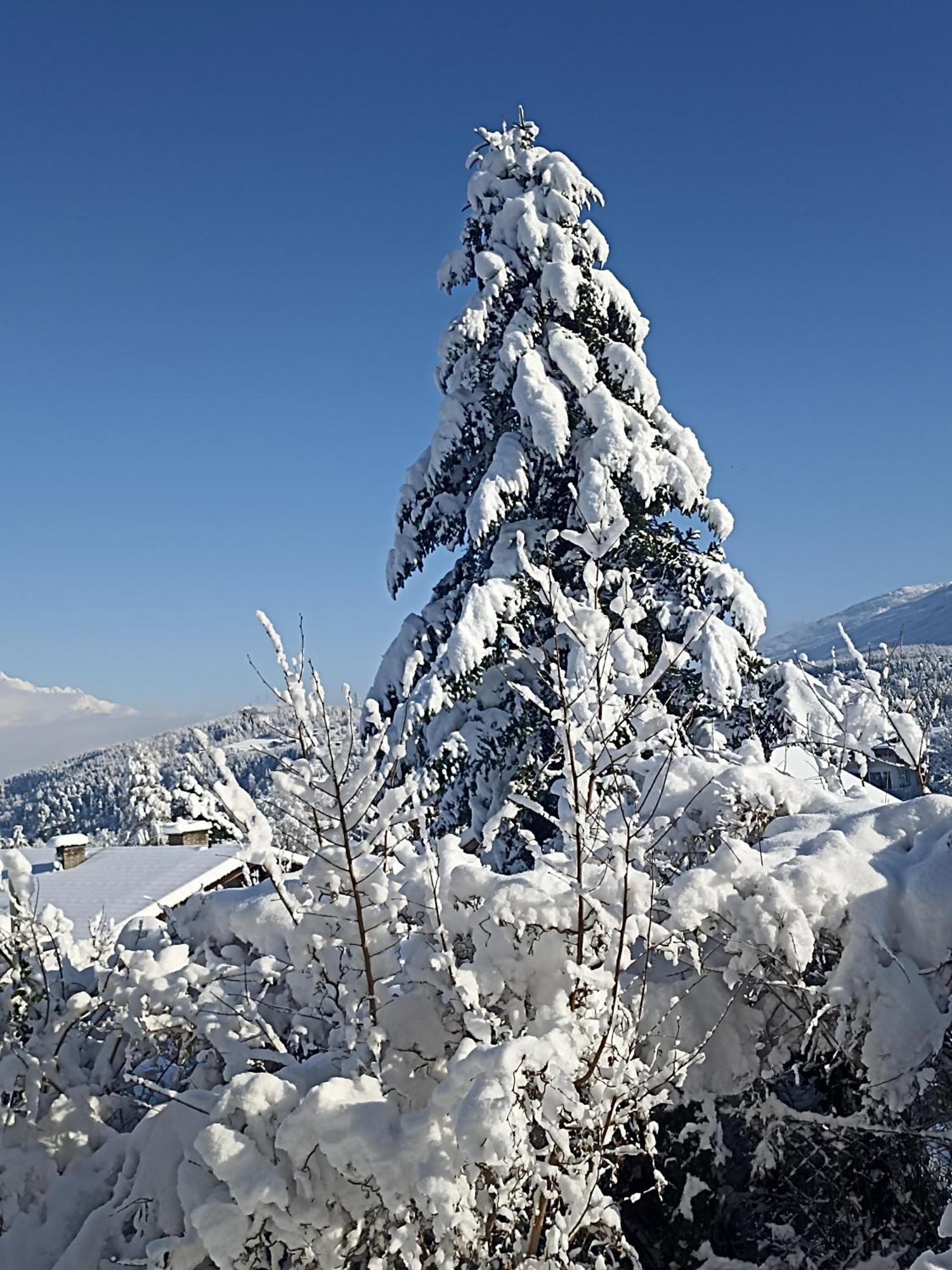 Gaestehaus Alpenblick Mutters Esterno foto