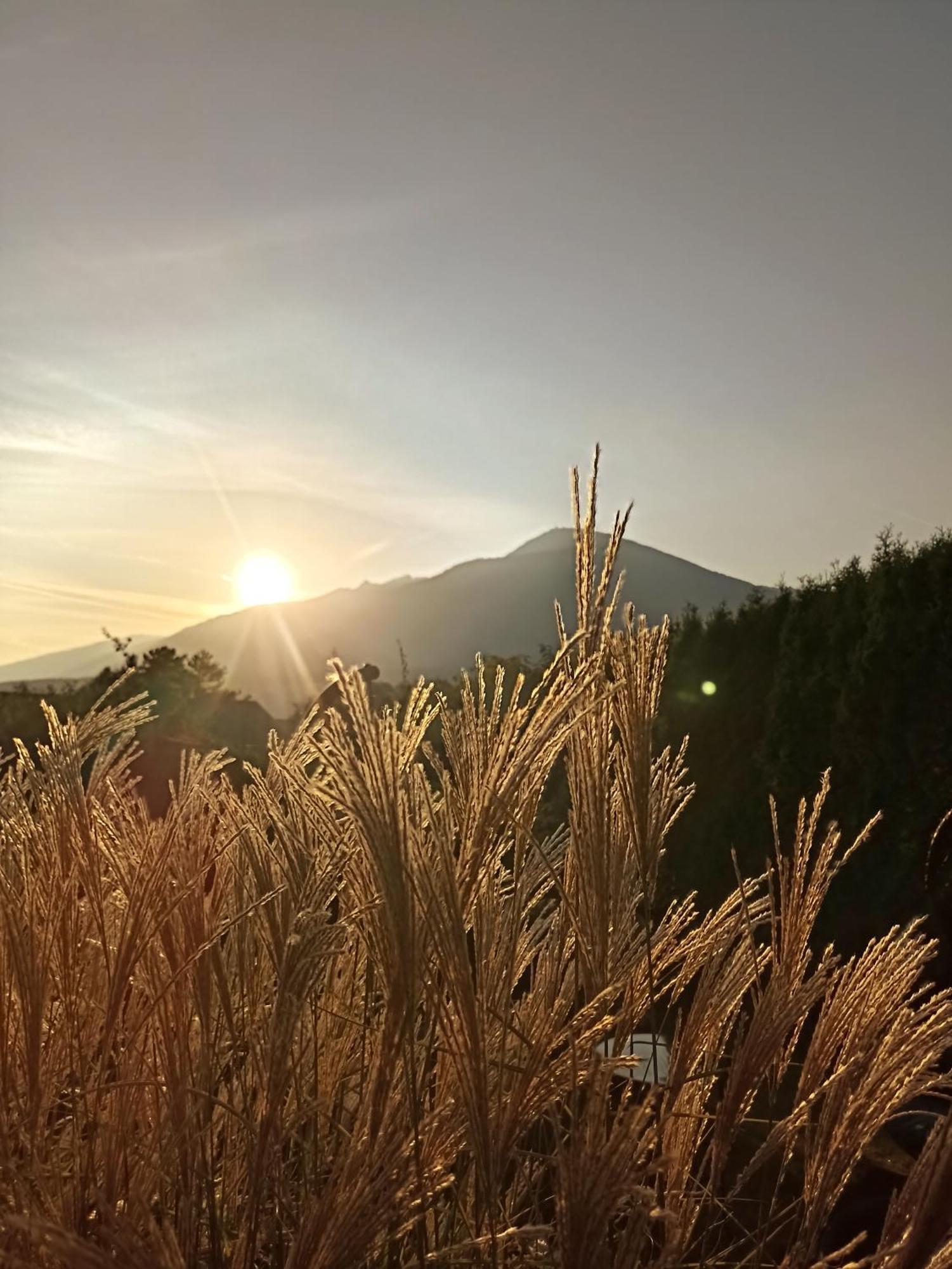 Gaestehaus Alpenblick Mutters Esterno foto